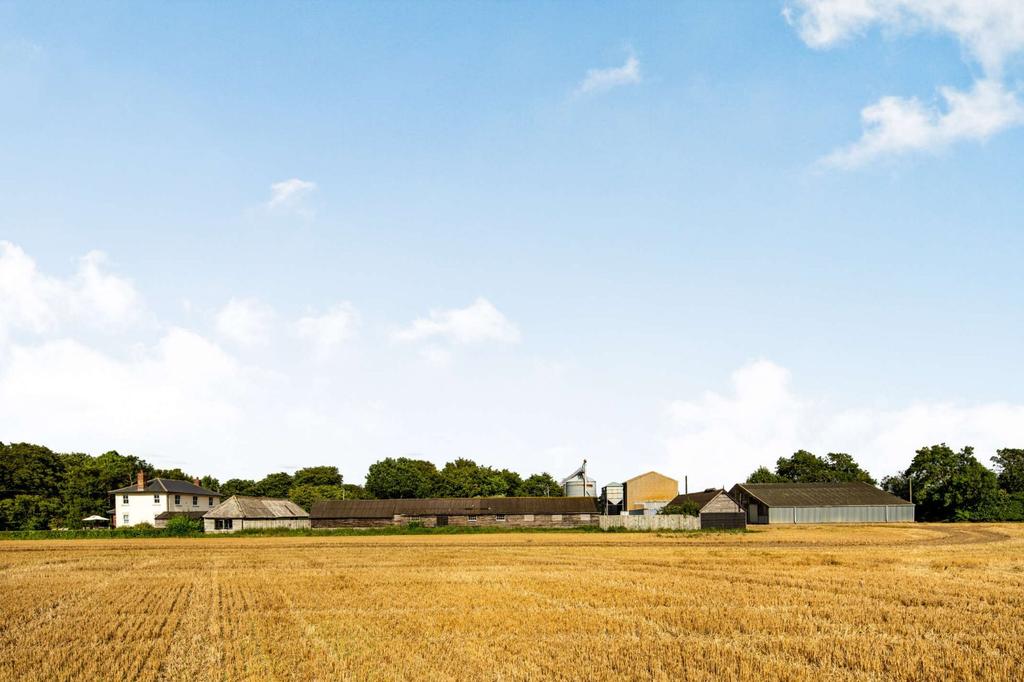 Black Barns