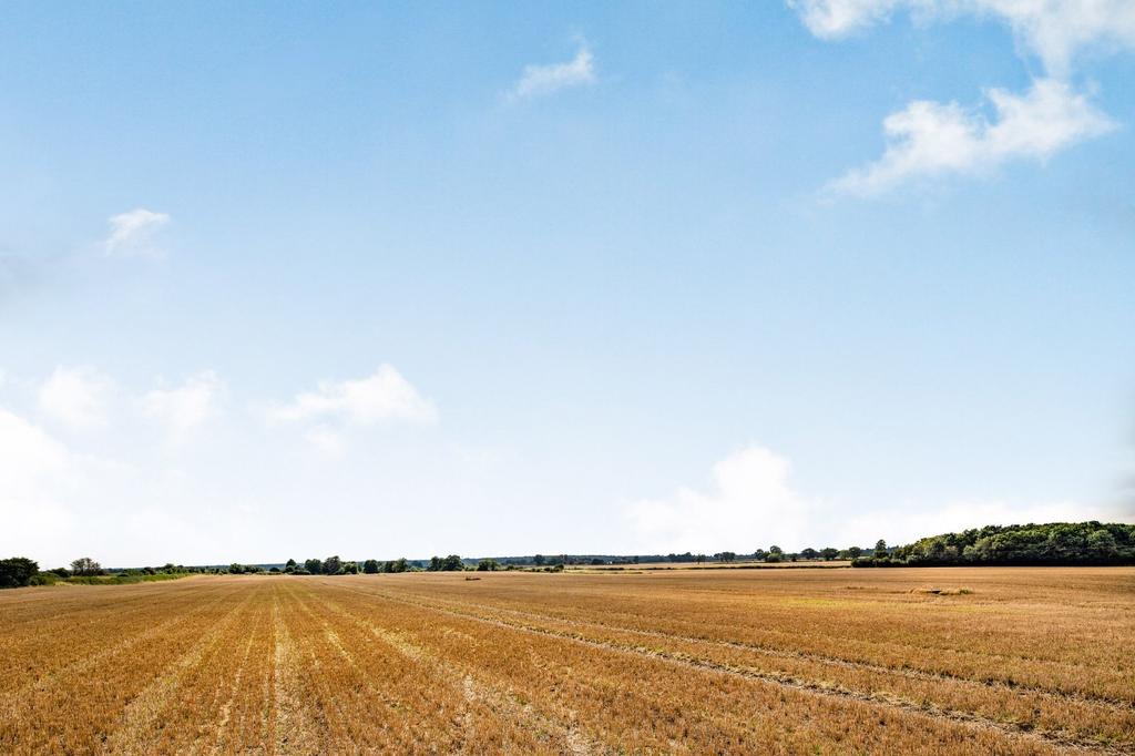Halfway House Farm