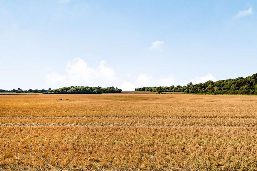 Halfway House Farm