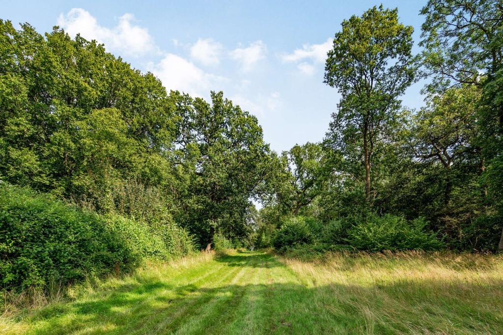 Woodland