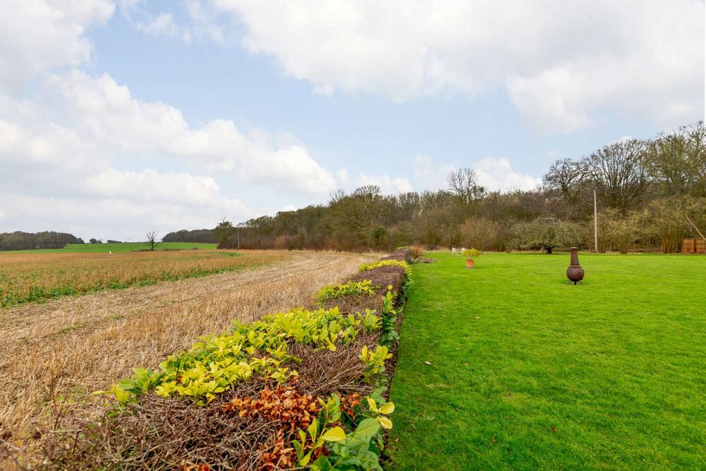 Garden and View