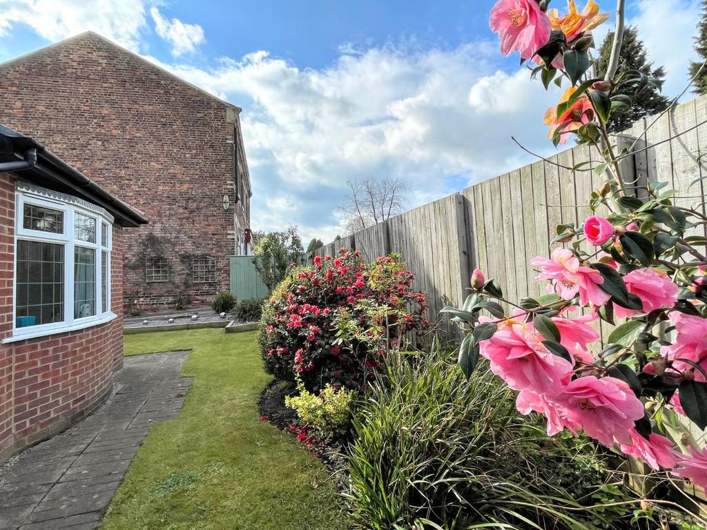 Rear garden