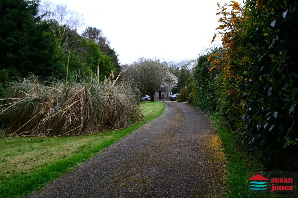 Driveway and garden