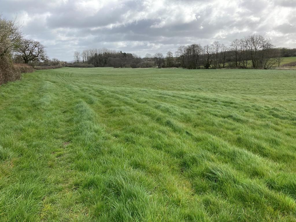 Witham Friary, Frome, BA11 Farm land £100,000