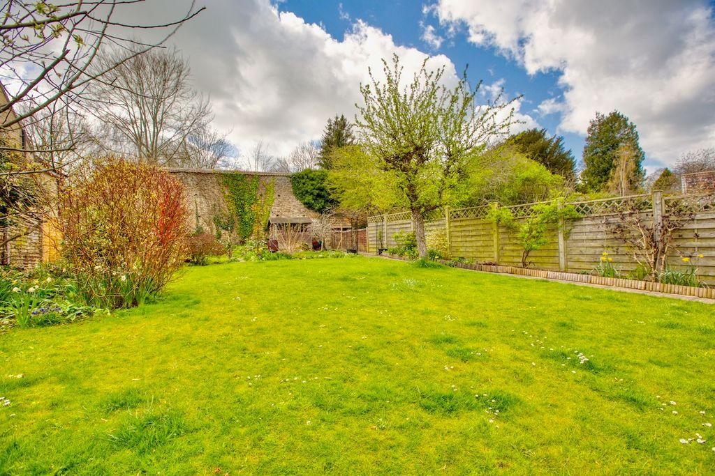 Garden at Back