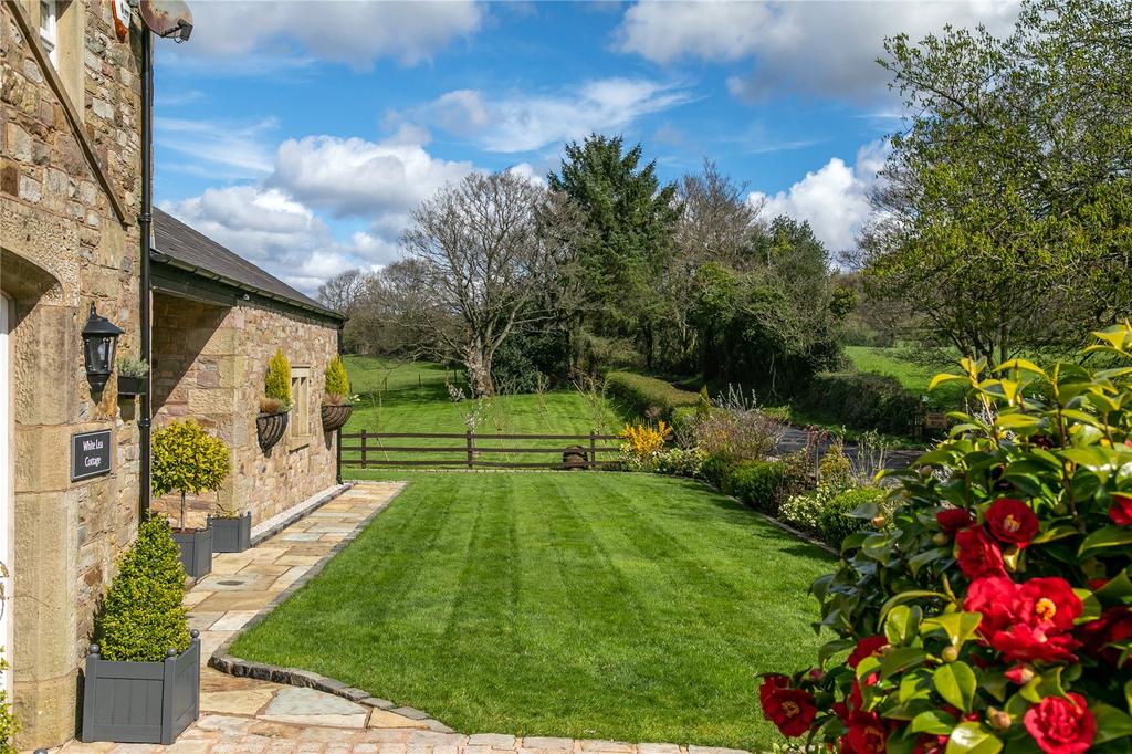 Front Lawn