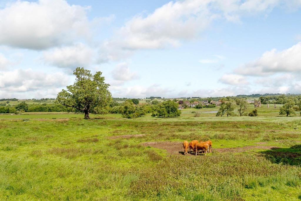 LL Countryside Area 2.jpg