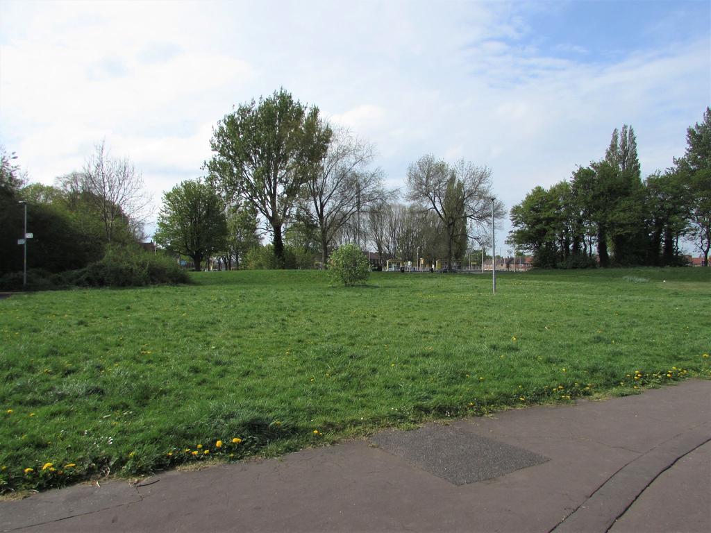 Photograph 3