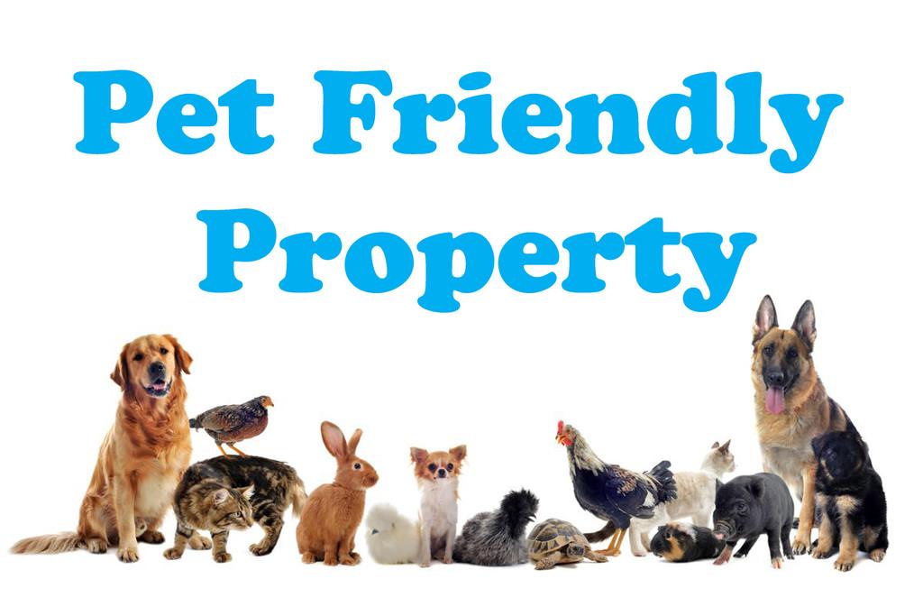 Pet Friendly Property