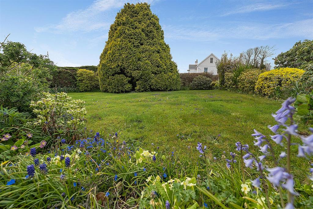 Back Garden.jpg
