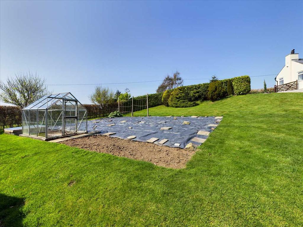 Vegetable Plot &amp;