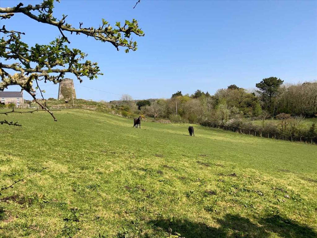 Adjacent Field