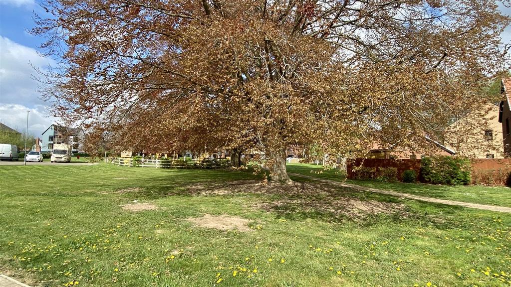 Park To Side of Building