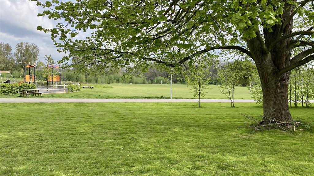 Onsite Green Space