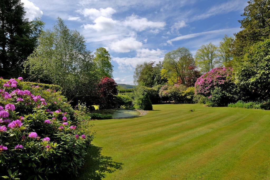 Garden From Front