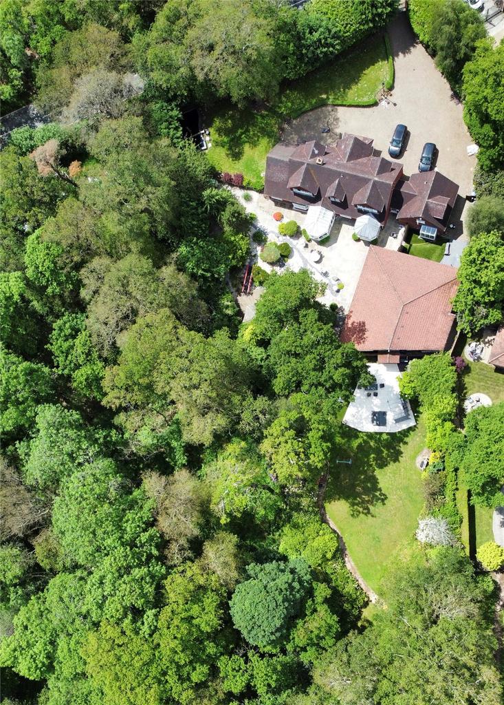 Aerial Shot