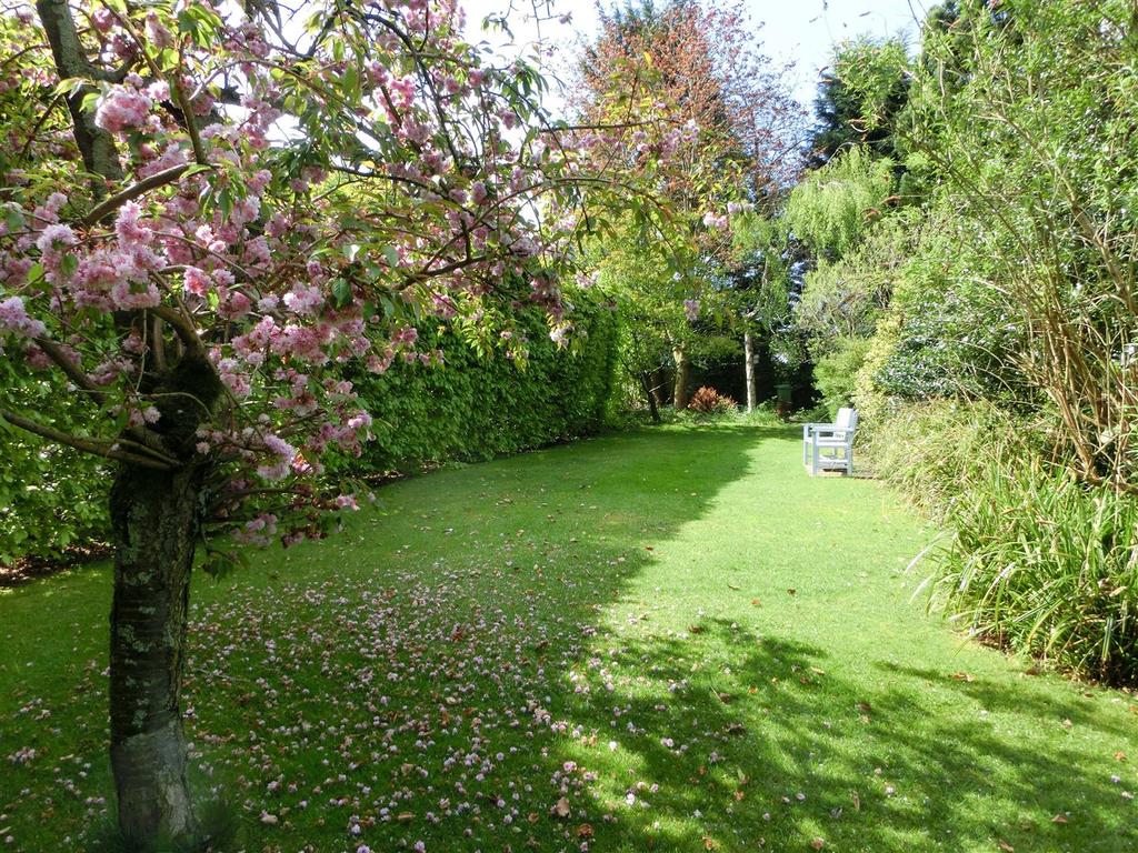 FRONT, SIDE &amp; REAR GARDENS