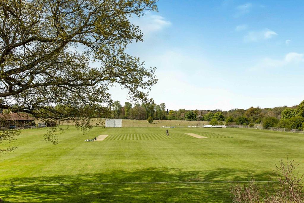 Cricket Pitch