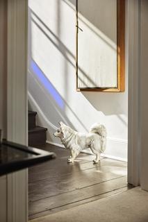 7 Rothwell Street, London, NW1 8YH