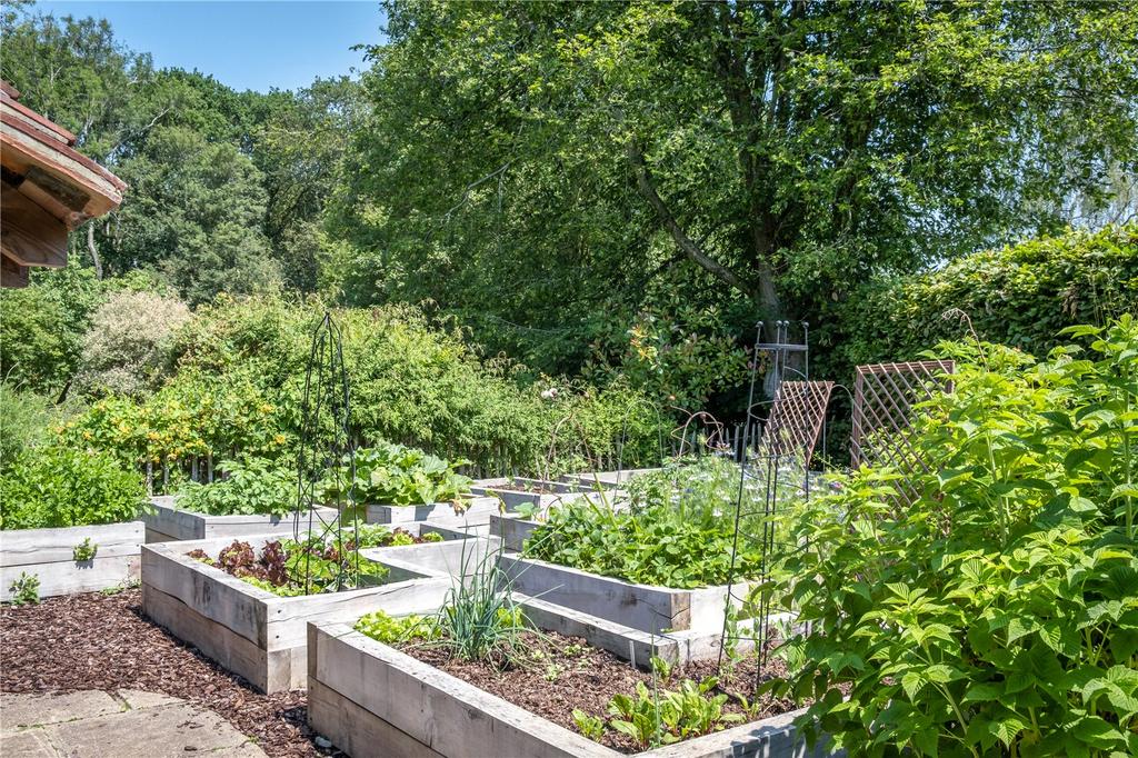 Vegetable Patch