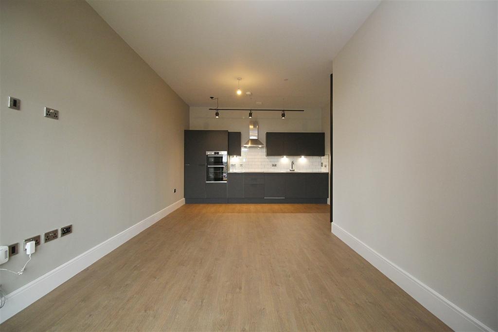 Living Area / Kitche