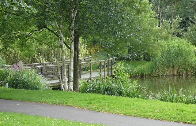 Alexandra Park
