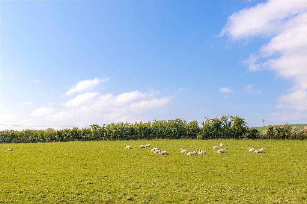 Land