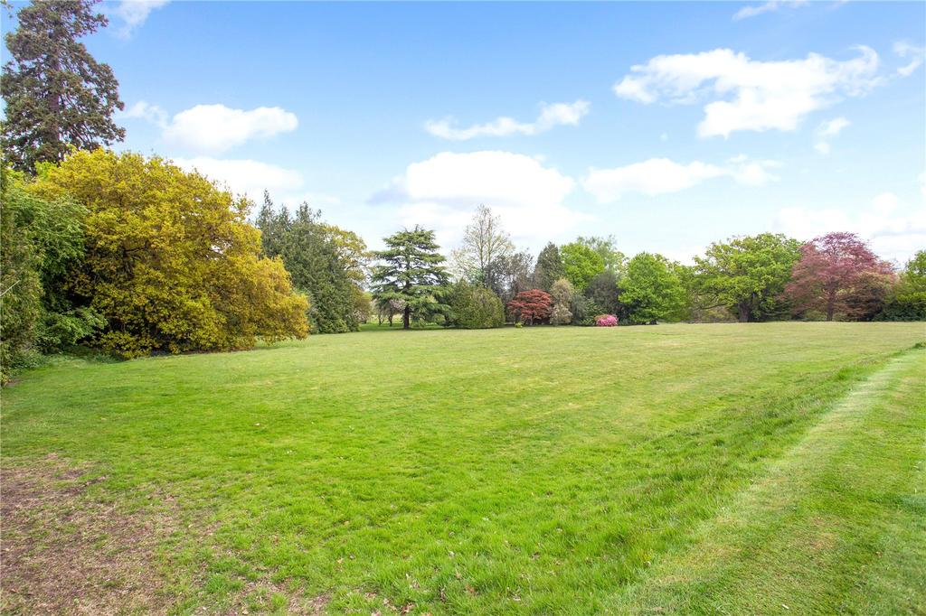 Grounds