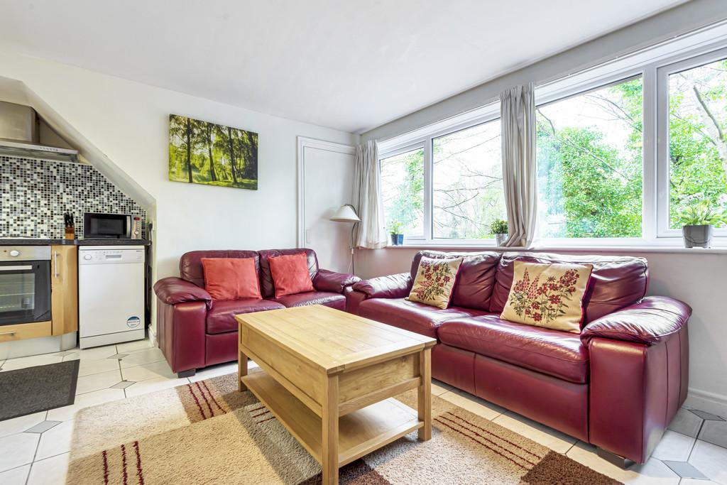 10a Open Plan Living Room and Dining Kitchen