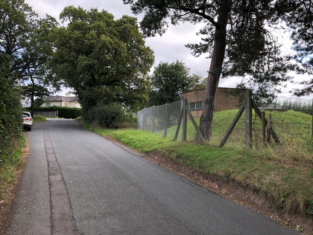 Trimpley #4 jpg
