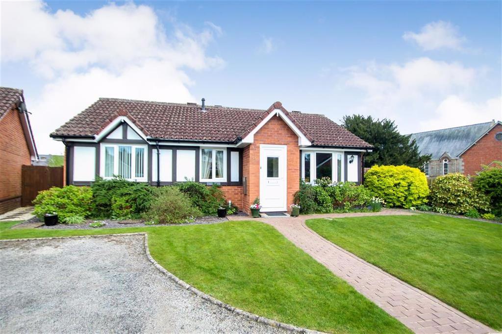 Driveway and Gardens