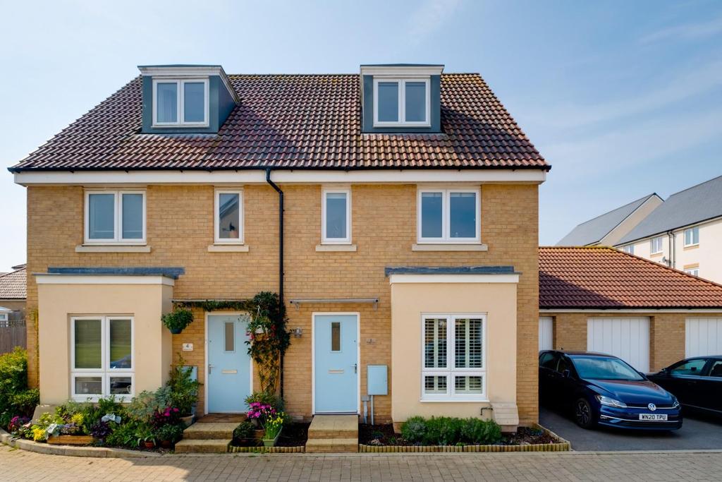 Marigold close - 31.jpg