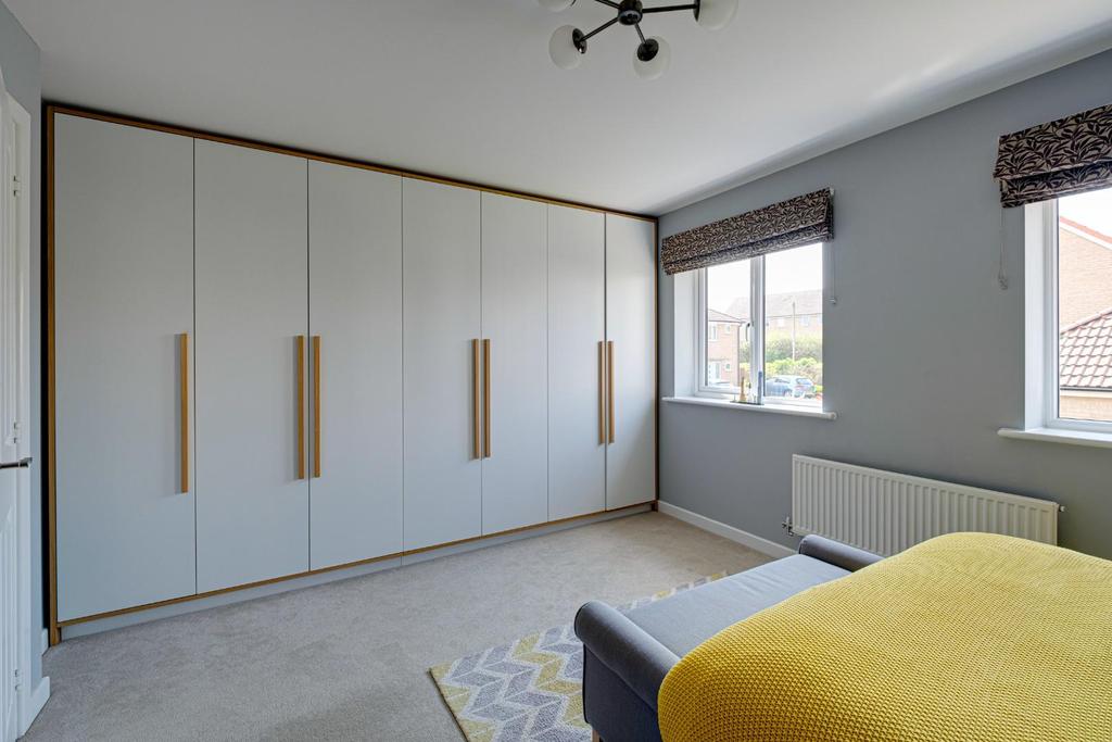 Marigold close - 26.jpg
