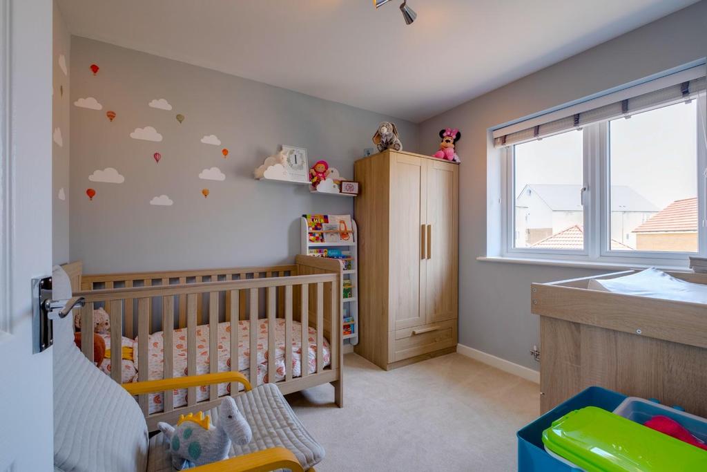 Marigold close - 16.jpg