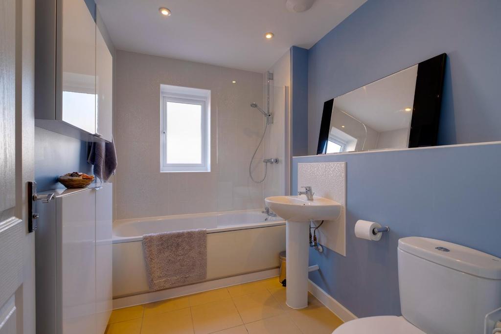 Marigold close - 19.jpg