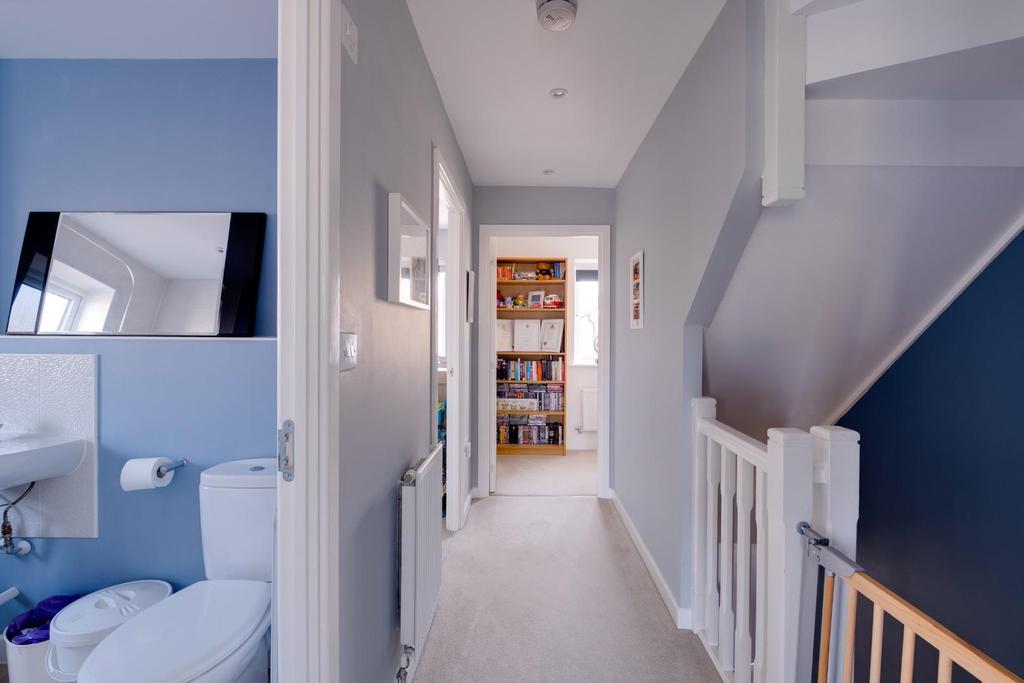 Marigold close - 28.jpg