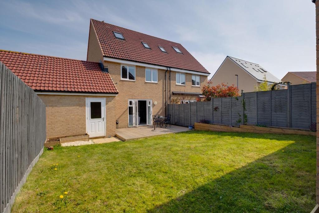 Marigold close - 11.jpg