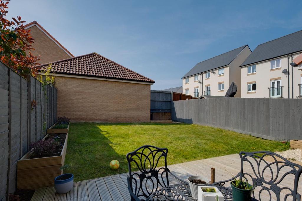 Marigold close - 9.jpg