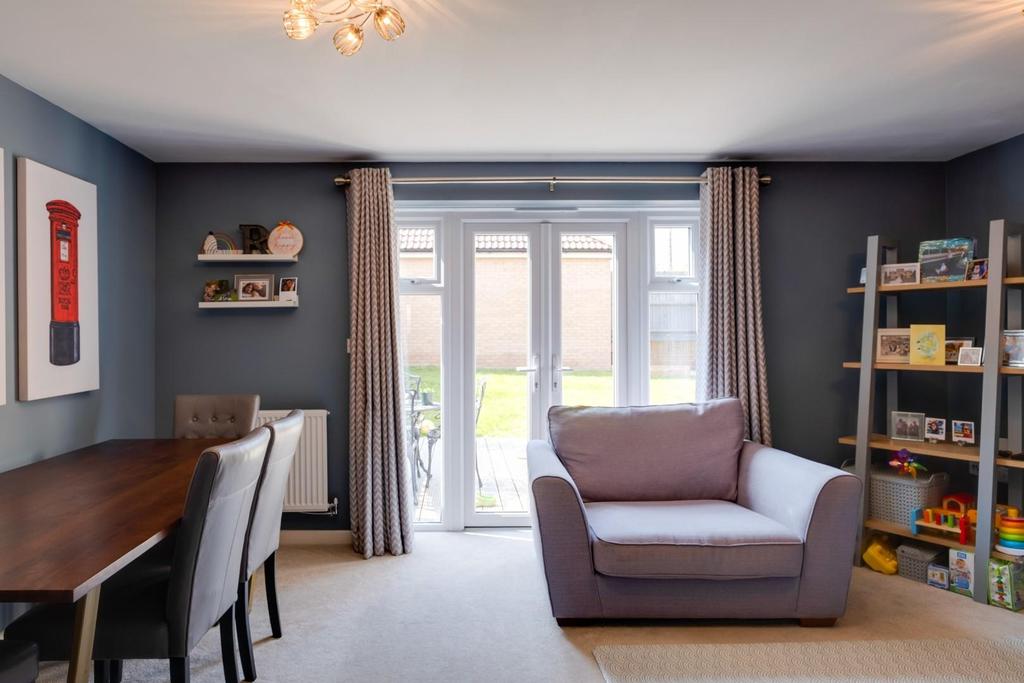 Marigold close - 7.jpg