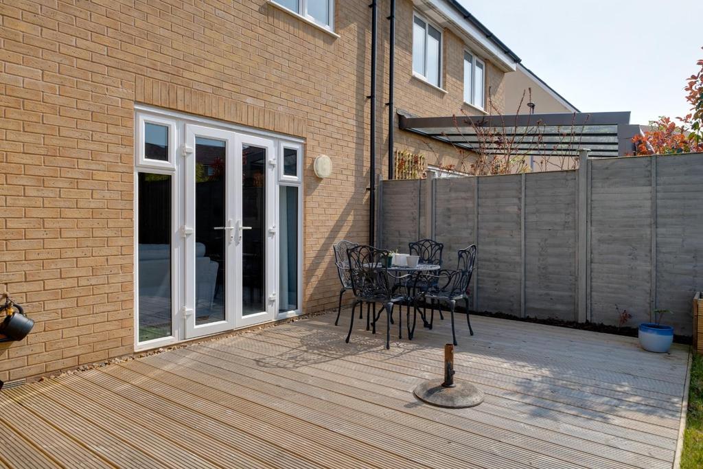 Marigold close - 13.jpg