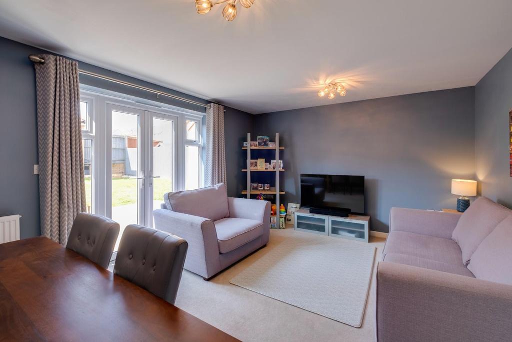 Marigold close - 5.jpg