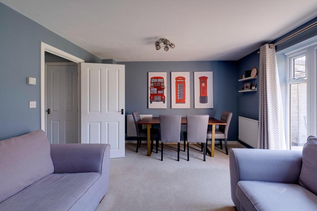 Marigold close - 4.jpg