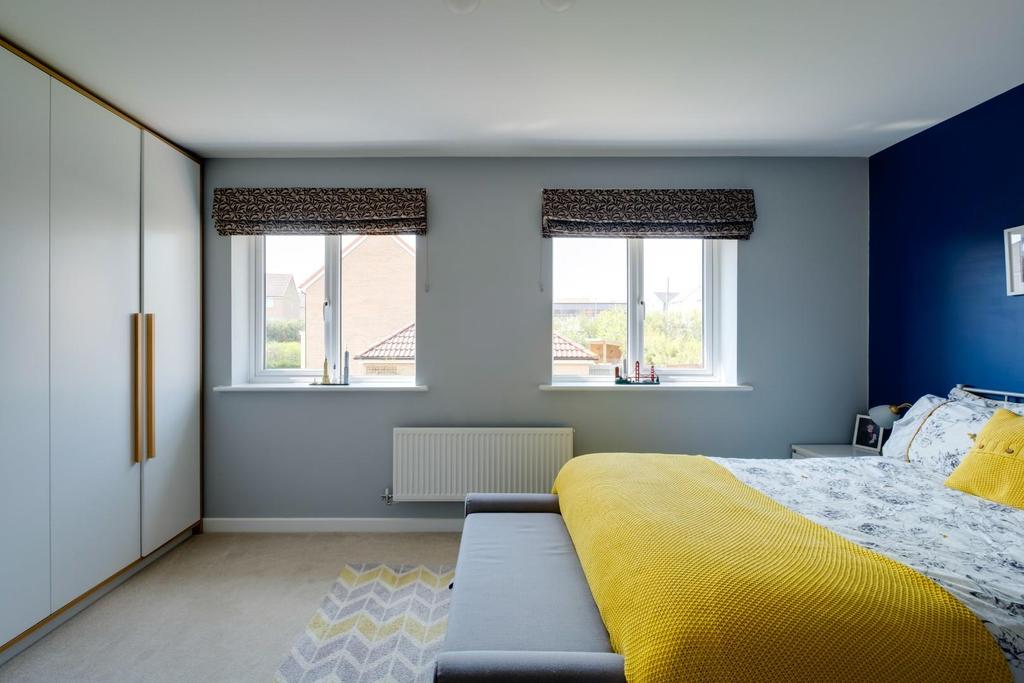 Marigold close - 27.jpg