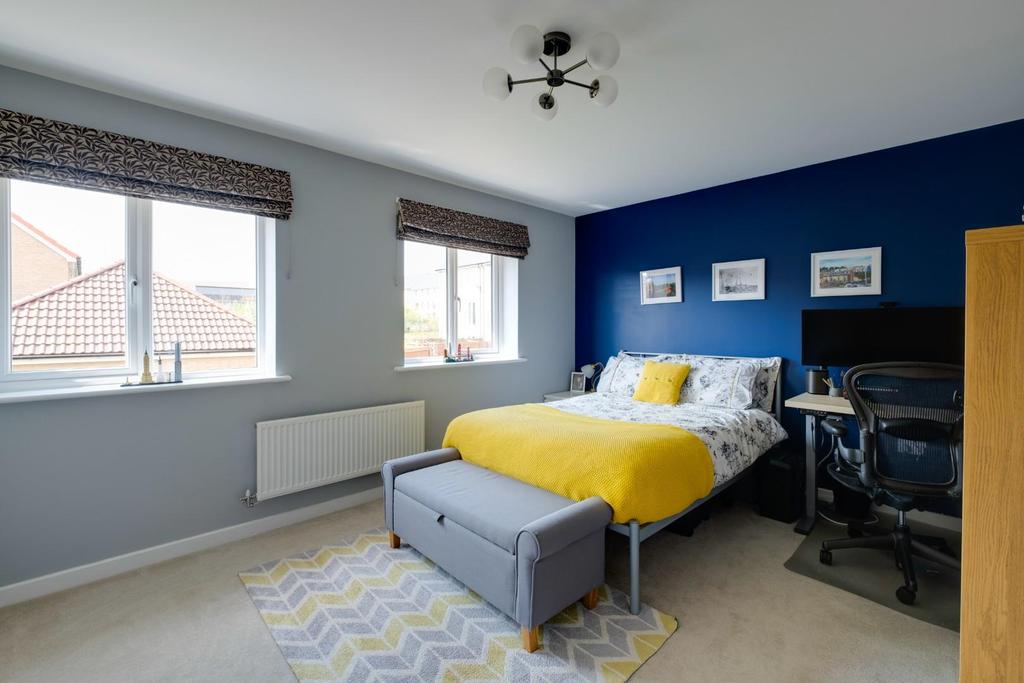 Marigold close - 24.jpg