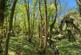 Additional image 31 of South Lane, Dallington, East Sussex, TN21