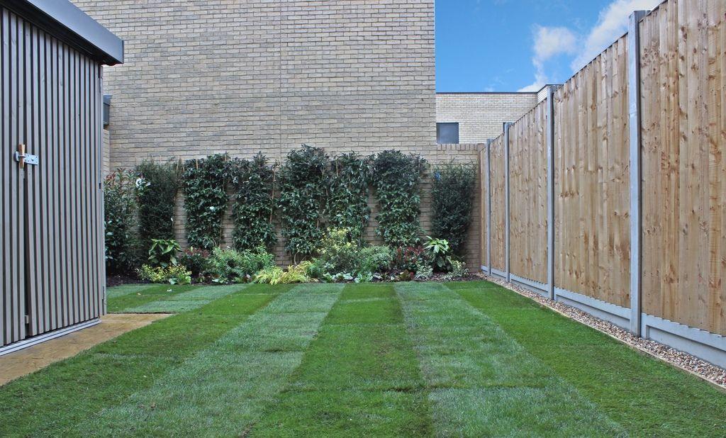 Garden at Back