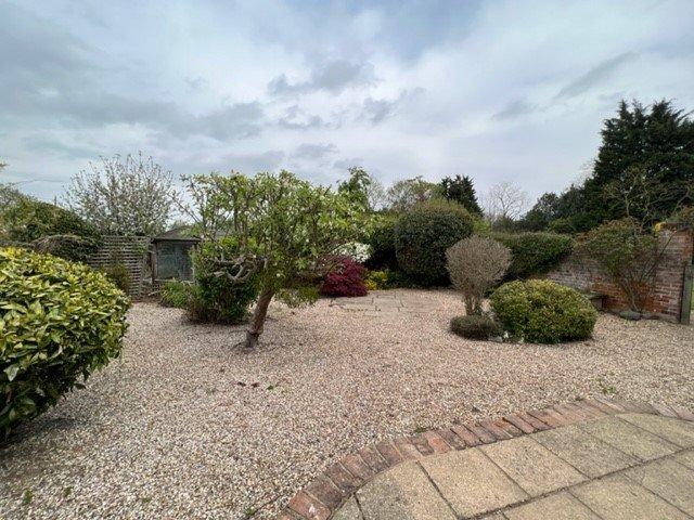 Garden 1