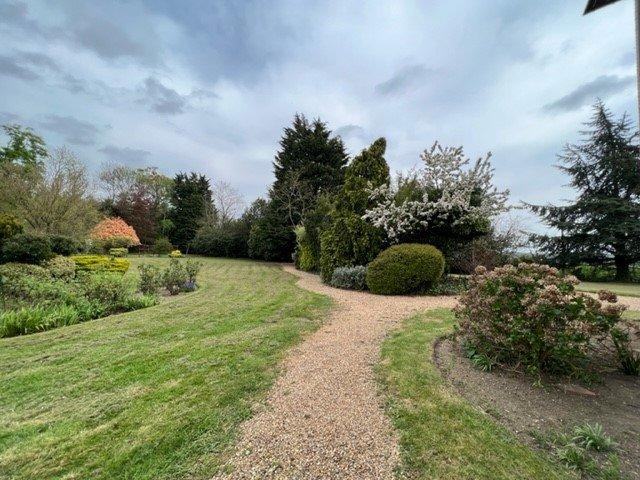 Garden 2