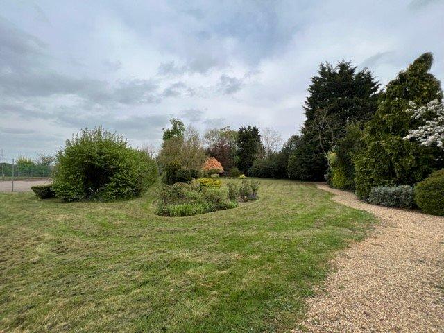 Garden 3