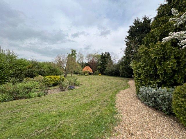 Garden 6